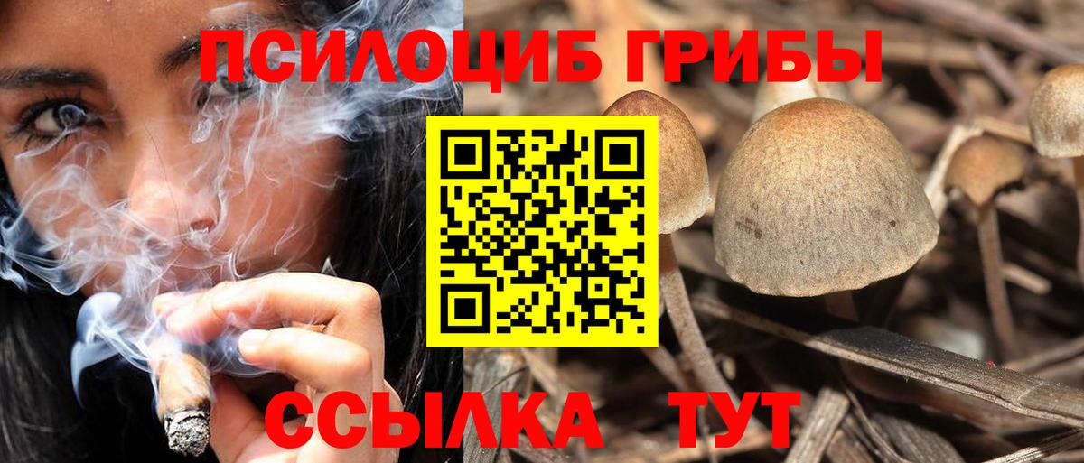 Псилоцибиновые грибы мицелий  Вход с VPN  Нижневартовск 