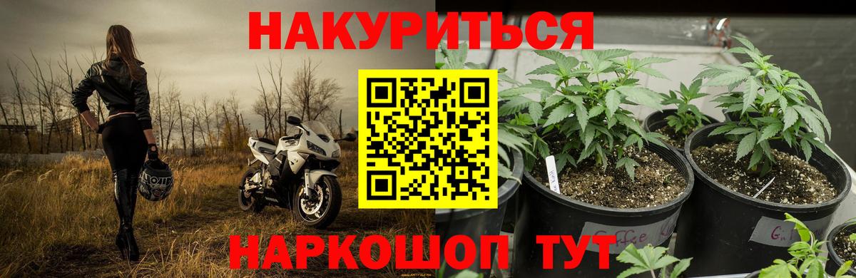 Бошки марихуана Bruce Banner  Вход с VPN  Нижневартовск  МАРИХУАНА Amnesia  Марихуана LSD WEED 